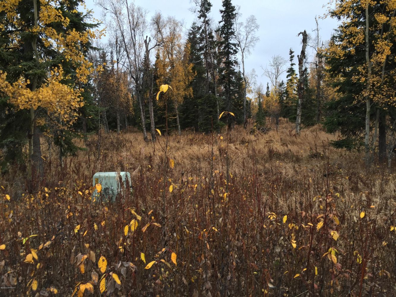 63885 Tailwind Rd, Ninilchik, AK 99639